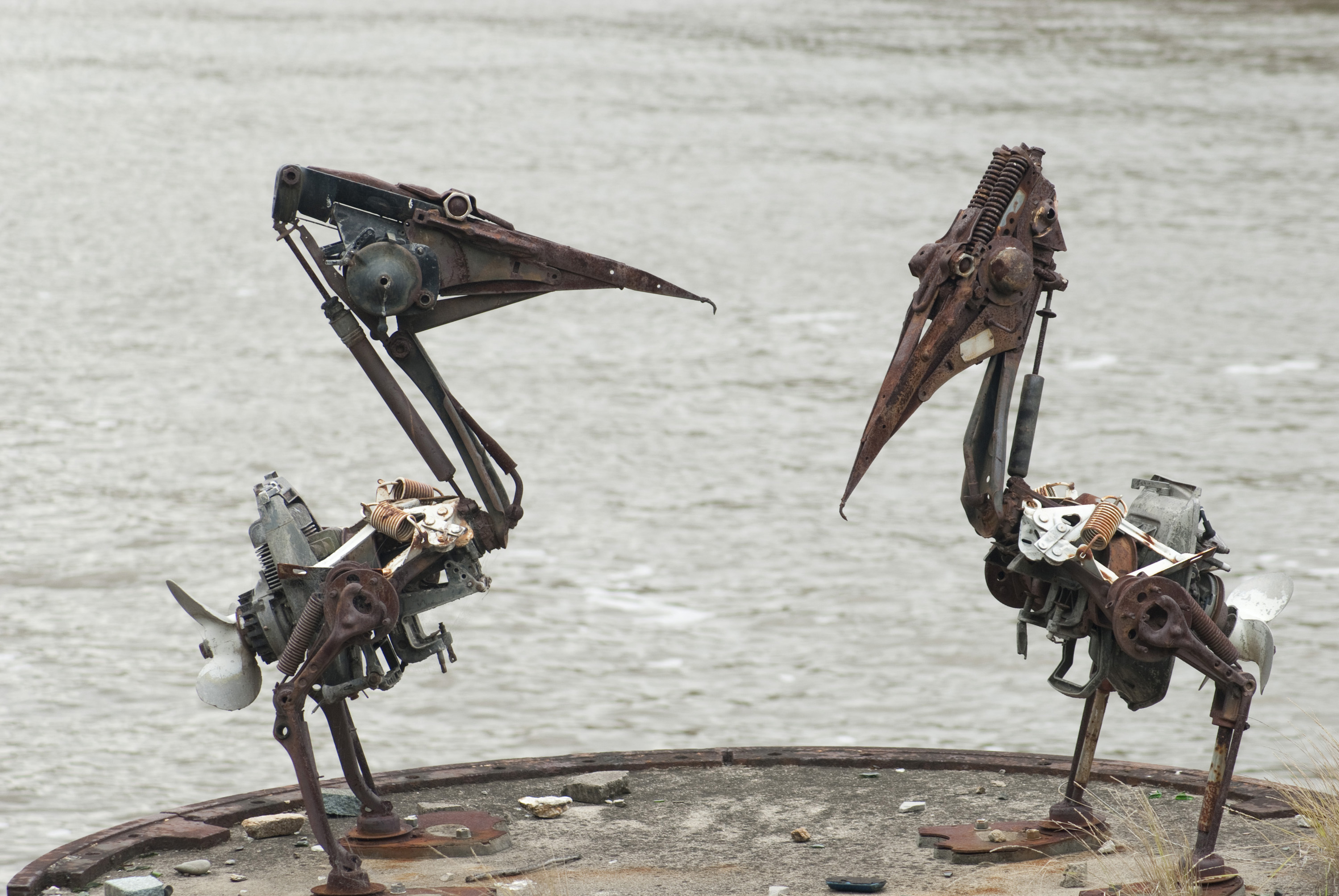 Featured image of post Metal Bird Sculptures Australia