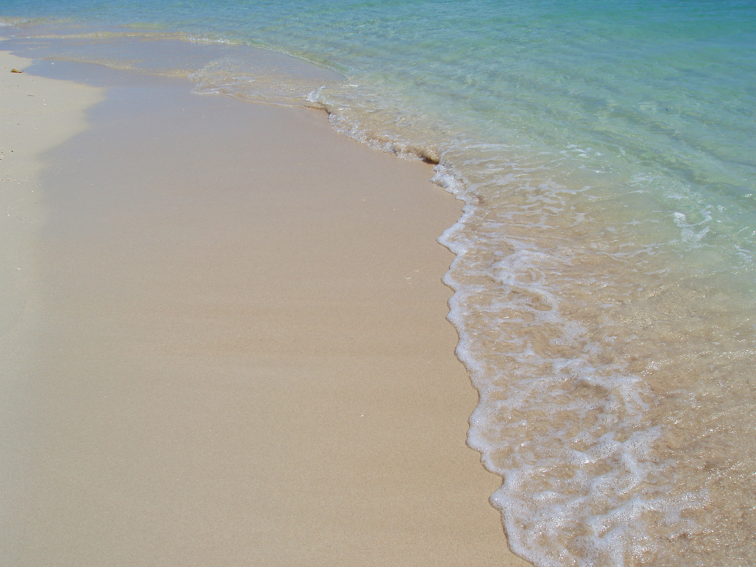 Shoreline with Clear Sea Water and White Sand-8836 | Stockarch Free