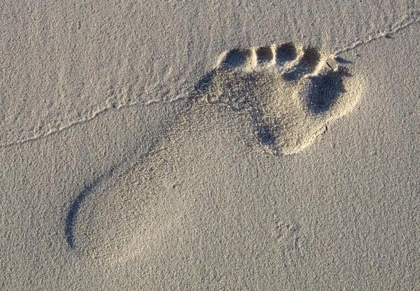 stock image a single footprint impressed into a sandy beach