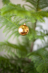 Traditional shiny golden bauble hanging on the branch of a pine Christmas tree