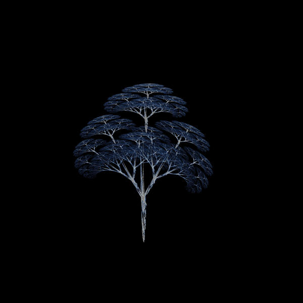a fractal generated pattern that looks like a tree and tree trunk