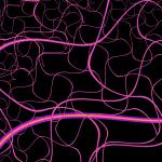 a background of various thicknesses of pink curved lines