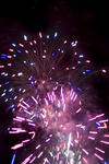 a display of pink / purple fireworks perhaps suitable to illustrate a valentine design