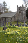 a small country church in the uk, pictured in spring with daffodils in the churchyard