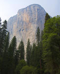 Spectacular 1000 metre vertical rock outcrop in the Yosemite valley, Yosemite National Park, California, USA